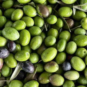 Olio